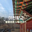 이천 현대정비 | 서포터즈 | 고즈넉한 이천향교 산책부터 시립도서관, 쌀크림빵 카페까지 반나절 힐링 코스