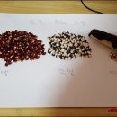 삼배농장 이미지