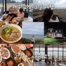 봉성리 쉼터 | 여행 2일차 (스타벅스 제주한담해변DT점/ 남도리쉼터/ 언덕집국수/ 새별프렌즈/ 9.81파크/ 애월항수산...