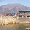 나홀로민박 이미지