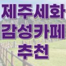제주 세화 감성 카페 추천 Best 5 바다와 감성이 머무는 공간