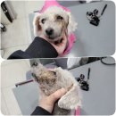 티지메디칼 이미지