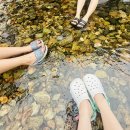 우리지구 | 반려동물 동반 가능한 부산 근교 캠핑장 배내골산책로캠핑장 우중캠핑 후기