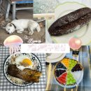 반똥가리김밥 | 7/6~7/12 여름 더위 일상