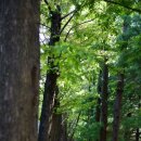 장지약수터 이미지