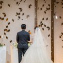 주(연) | 청주 메리다웨딩홀 본식 서브스냅 촬영 후기 / by. 연온필름