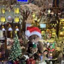 서울 | 크리스마스 호캉스 호텔 추천 신라호텔 서울 후기