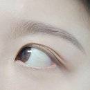 원데이컬러렌즈 추천 for 고동색 눈동자, 자연스러운 프레쉬콘