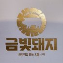 금빛돼지 이미지