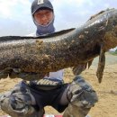 만식이네 이미지