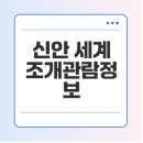 세계조개박물관 | 신안 세계조개박물관 관람 팁, 전시물 소개, 체험 프로그램 알아보기