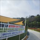 금성천막