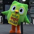 영어는 내 친구 | 듀오링고 어플 3개월 실전후기, 왜 내 영어는 여전히 어색했을까?