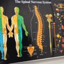 경희윤동학한의원 이미지