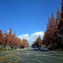 창원수목원관리동화장실 | 창원 수목원 가을 나들이(경남 창원시 성산구 삼동동 산9-1)