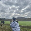 유덕목장 이미지