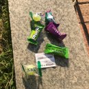 혁재농장 | [한달일기] 눈 깜짝할 사이에 지나가버린 5월 한달일기