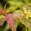 길목가든 이미지