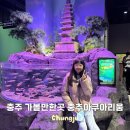 탄금공원 야외화장실(돌미로) | 충북 충주 아이랑 가볼만한곳 놀거리 충주아쿠아리움