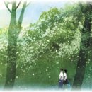 박*화 - 미추홀구 경원대로897번길 36 | 박*화