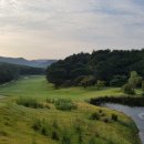 금잔디 골프 클럽 이미지