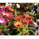 아름다원 이미지