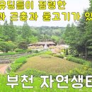 강서청소년쉼터 | 7호선으로 간다! 서울 근처에 이런곳이?! 👶주말에 아이들과 🚗나들이 가기 좋아서 그런가... 평일 100만...