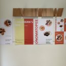 러빗댕댕 이미지