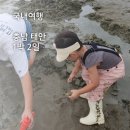 4살 어린이와 1박 2일 서산, 태안 여행. 시장 투어와 갯벌까지 6월의 여행 코스.