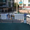 로고스교회 건너편 횡단보도 이미지