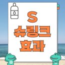 S테크니션 | S슈링크 가격 총정리 – 병원별 비용차이부터 효과까지!