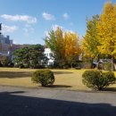 일등자동차주