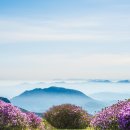 푸른조경 이미지