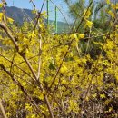 부곡한옥펜션 이미지