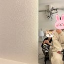 아토 강아지 미용실 이미지