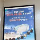 분당삼평-D-6 | [내돈내산] 분당 판교 스팀세차 추천! BMW X6 60i &amp; 320d 믿고 맡긴 찐단골 파워스팀세차 리얼후기