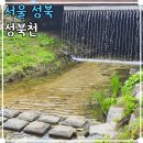 성북천 분수광장 평화의소녀상 앞 | 서울 혼자 여행 강북 가볼만한곳 성북천 분수마루