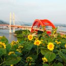 일광수산