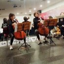 첼로(성인반) 이미지