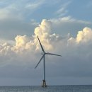 부에나두모 이미지