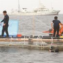 돌고래농장 이미지