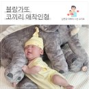 코끼리유치원 | 남자아기애착인형 필요할까? 블랑가또 코끼리