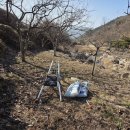 농심퇴비 이미지