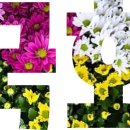 군산언어심리센터 이미지