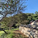 주세붕 초상 이미지