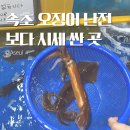 미원횟집 | [미원수산] 속초 오징어난전 시세 알아보는 법 산오징어 회 포장 맛집