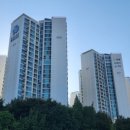 강남사람들