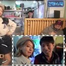 초아국수