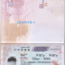 DK국제여행사