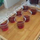 (주)티엠코리아 | 🚨 놓치면 후회할 12월! 건강과 힐링을 한 번에 잡는 도테라 최강 프로모션 대공개! ✨ with 아로마소마